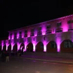 gobierno-regional-se-ilumina-de-rosado