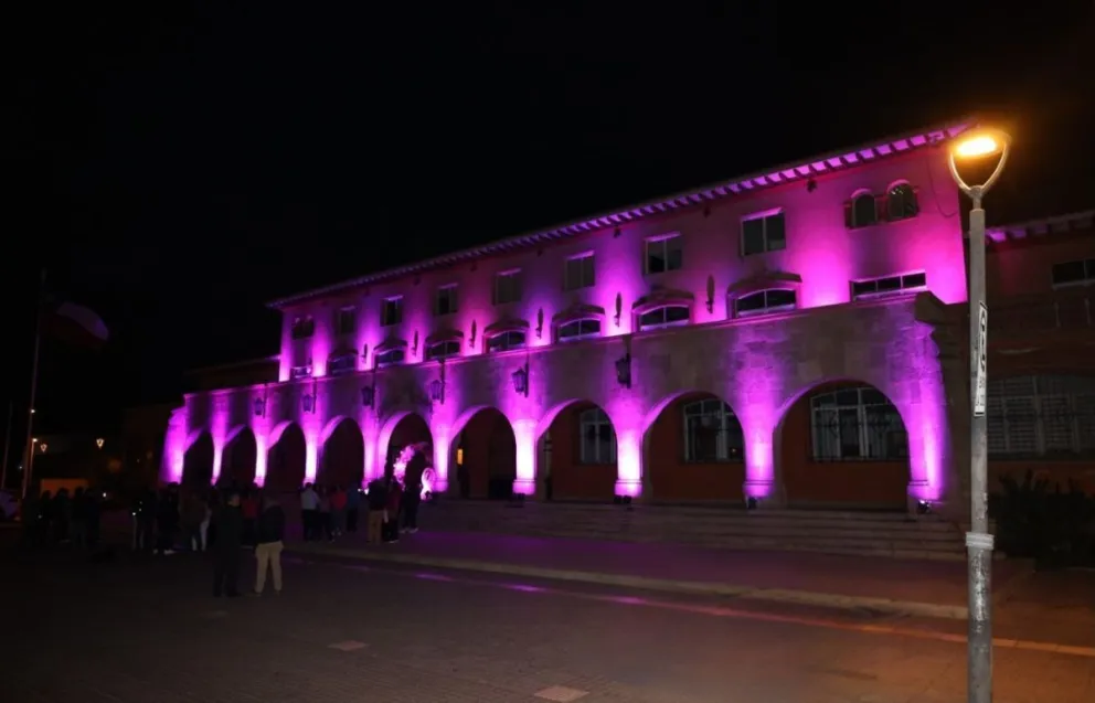 gobierno-regional-se-ilumina-de-rosado