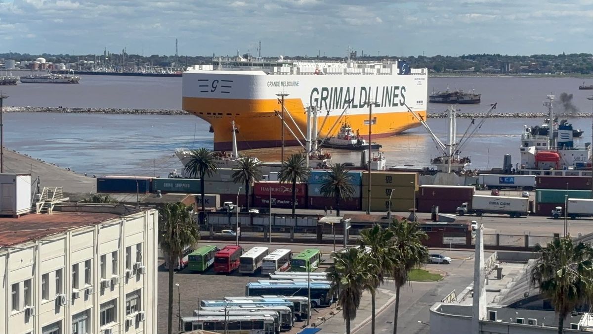 congestion-de-autos-nuevos-en-puerto-de-montevideo:-llegan-mas-barcos-y-anp-consigue-espacio-para-deposito