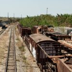 flavio-bolsonaro-promete-trem-de-1.400-km-no-nordeste-sem-apresentar-estudos-e-custos
