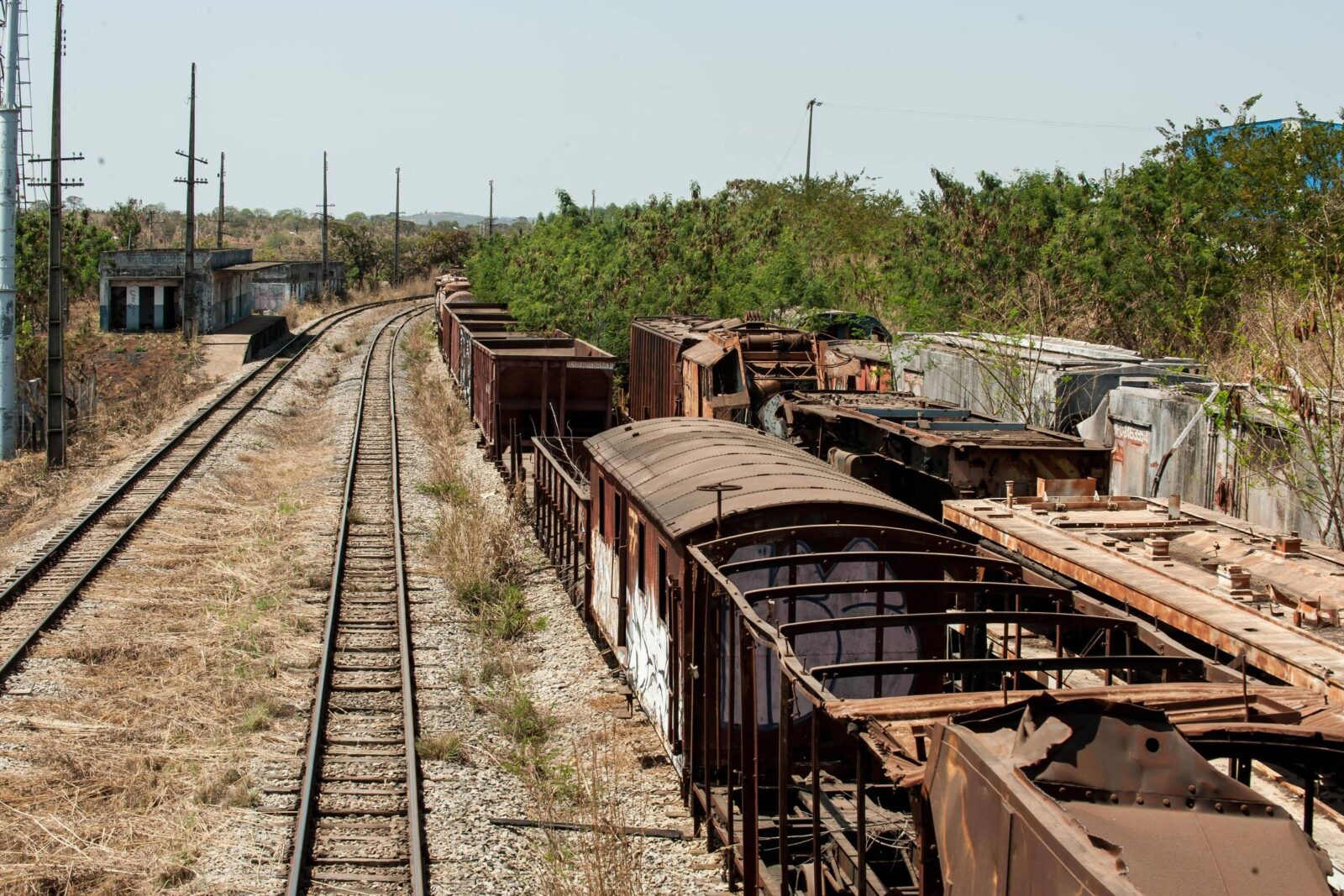 flavio-bolsonaro-promete-trem-de-1.400-km-no-nordeste-sem-apresentar-estudos-e-custos