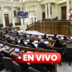 pleno-del-senado-en-vivo:-hoy-se-debate-el-pedido-de-facultades-solicitado-por-el-ejecutivo