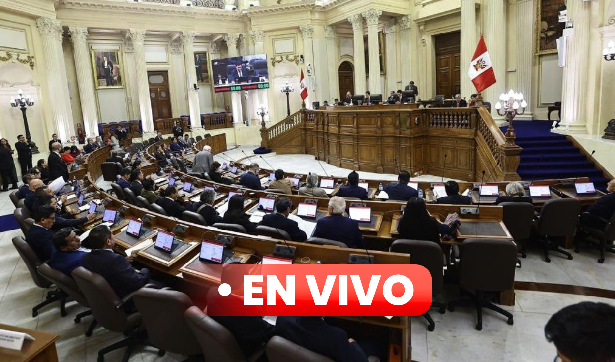 pleno-del-senado-en-vivo:-hoy-se-debate-el-pedido-de-facultades-solicitado-por-el-ejecutivo
