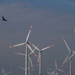 planos-climaticos-reduzem-custo-de-credito-para-empresas,-diz-estudo