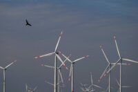 planos-climaticos-reduzem-custo-de-credito-para-empresas,-diz-estudo