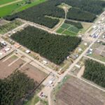lo-que-el-sector-forestal-aporta-y-a-cuanto-puede-crecer-su-impacto-acelerando-las-plantaciones