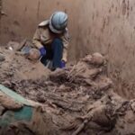 encuentran-milenarias-momias-de-perros-sin-pelo-en-un-cementerio-de-peru