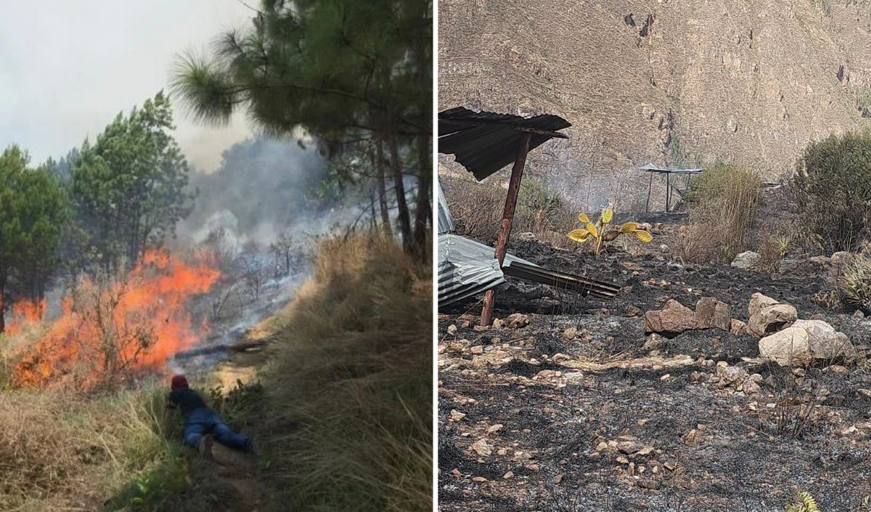 tres-personas-son-condenadas-en-cusco-por-provocar-incendios-forestales-que-devastaron-mas-de-23-hectareas