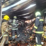 sib-plantea-cuatro-ejes-para-prevenir-incendios-industriales