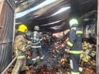 sib-plantea-cuatro-ejes-para-prevenir-incendios-industriales