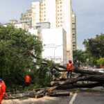 defesa-civil-coloca-sao-paulo-em-estado-de-atencao-para-chuvas-ate-sabado-(24)