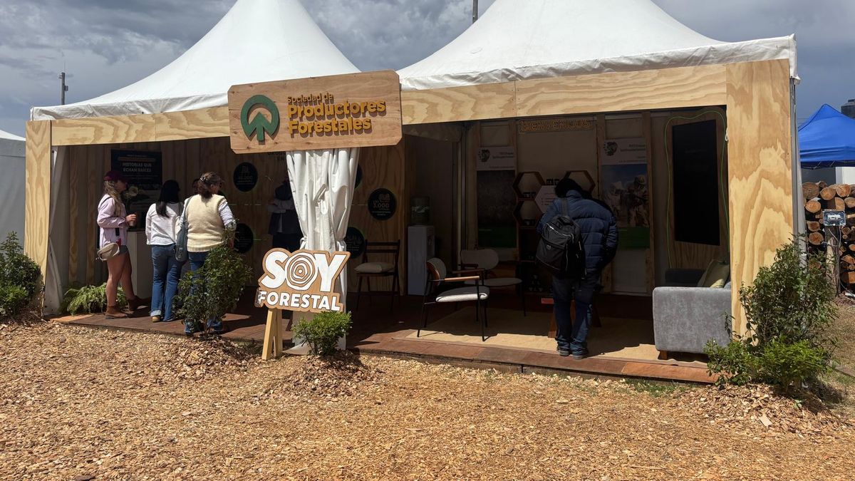 los-productores-forestales-y-la-necesidad-de-resolver-deberes-en-un-mundo-cada-vez-mas-complejo-para-exportar