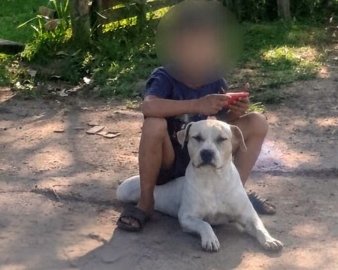 ¡liquido-con-escopetazo-al-perro-terapeutico-de-un-nene-autista!