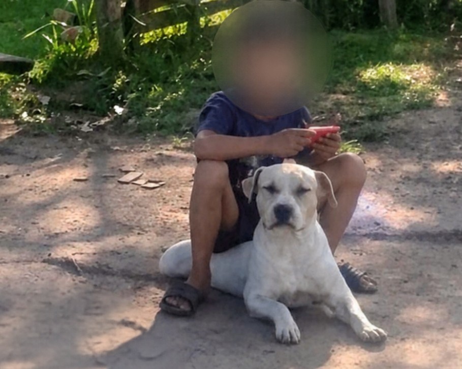 ¡liquido-con-escopetazo-al-perro-terapeutico-de-un-nene-autista!