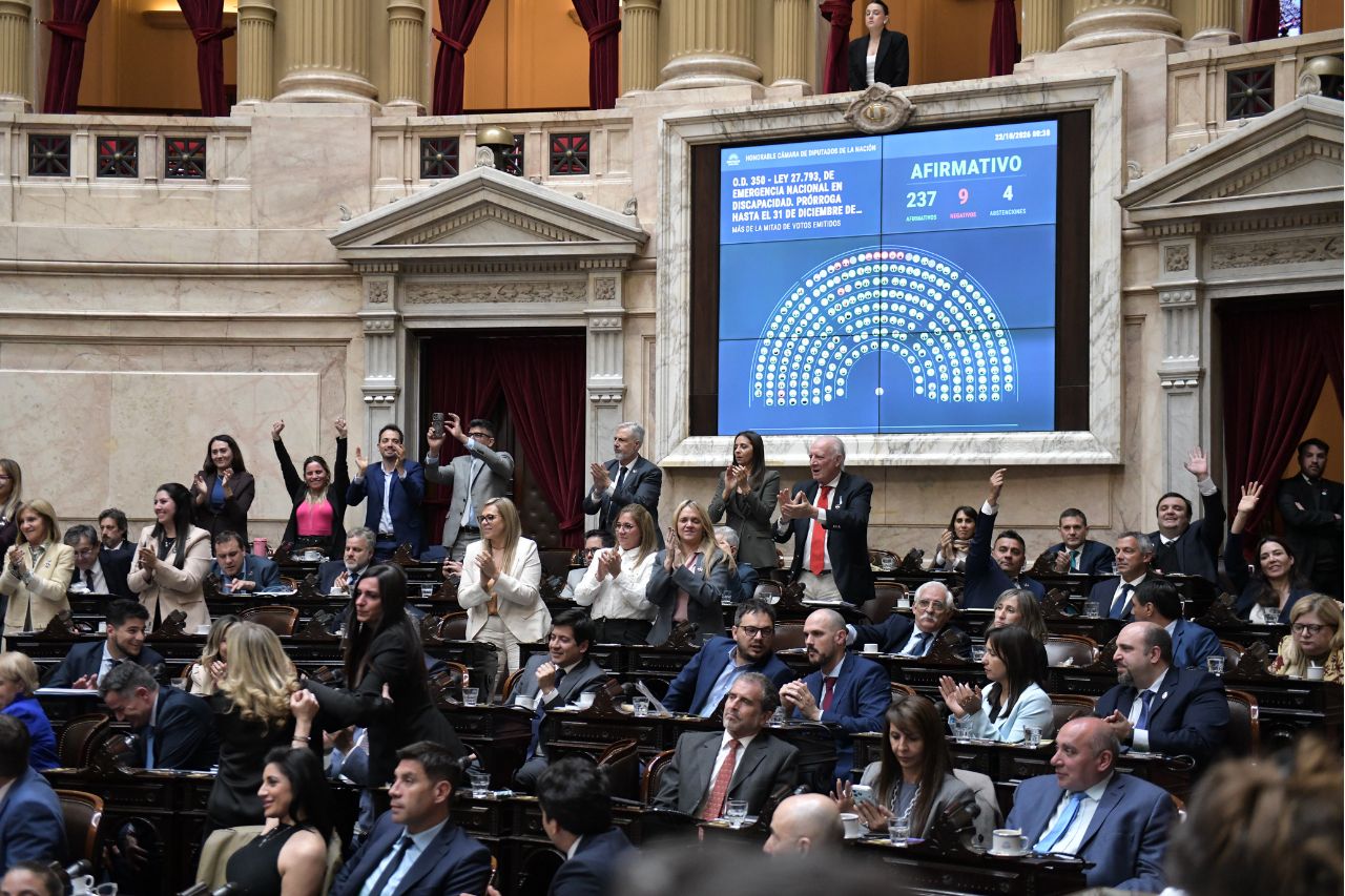 lower-house-passes-government-bills-on-private-property-and-disability