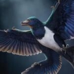 encuentran-en-china-el-fosil-de-un-extrano-dinosaurio-volador-de-cuatro-alas