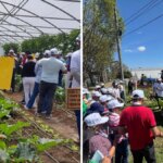 esta-es-la-alianza-con-italia-para-impulsar-la-agricultura-del-pais:-el-cafe,-la-pina-y-el-aguacate-del-cauca-son-claves-para-los-mercados-europeos