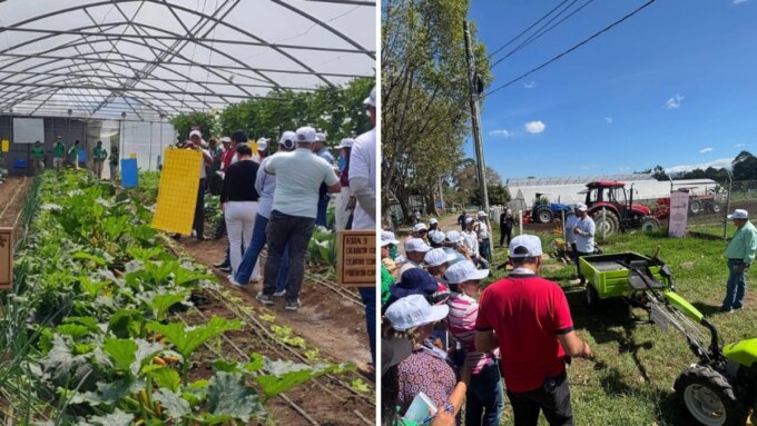 esta-es-la-alianza-con-italia-para-impulsar-la-agricultura-del-pais:-el-cafe,-la-pina-y-el-aguacate-del-cauca-son-claves-para-los-mercados-europeos