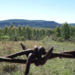 el-campo-uruguayo-frente-al-mundo:-alta-tecnologia,-record-organico-y-el-desafio-de-las-nuevas-barreras-climaticas-europeas