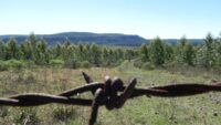 el-campo-uruguayo-frente-al-mundo:-alta-tecnologia,-record-organico-y-el-desafio-de-las-nuevas-barreras-climaticas-europeas