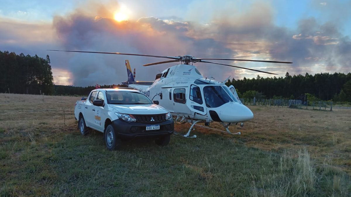 mas-de-100-empresas-unidas-para-proteger-a-los-bosques-del-fuego-mediante-el-o-paif