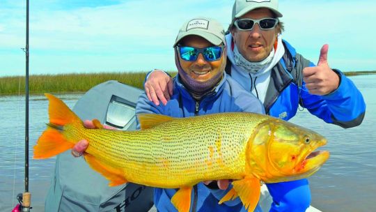 tras-los-grandes-cazadores-del-delta:-una-jornada-de-pesca-entre-dorados-y-tarariras