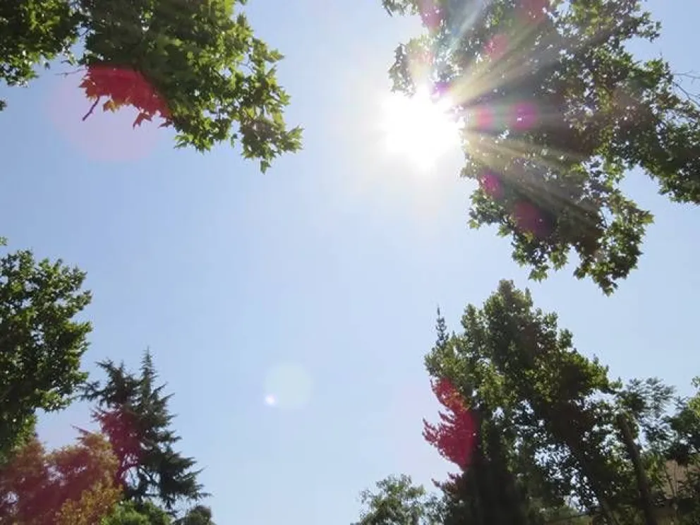 fin-de-semana-caluroso:-temperaturas-podrian-llegar-a-los-30-°c-en-la-region