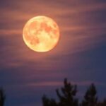 luna-del-cazador-2026:-¿cuando,-a-que-hora-y-como-verla-en-la-argentina?