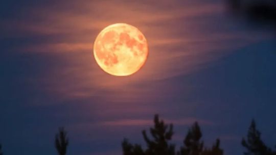 luna-del-cazador-2026:-¿cuando,-a-que-hora-y-como-verla-en-la-argentina?