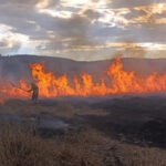 incendios-forestales:-las-consecuencias-y-la-desatencion