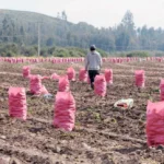 del-deficit-hidrico-a-los-temporales:-el-clima-extremo-pone-a-prueba-la-produccion-agricola