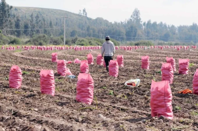 del-deficit-hidrico-a-los-temporales:-el-clima-extremo-pone-a-prueba-la-produccion-agricola