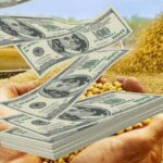 ¿mas-presion-para-el-dolar?:-caen-los-precios-internacionales-del-agro-y-la-colocacion-de-deuda-privada
