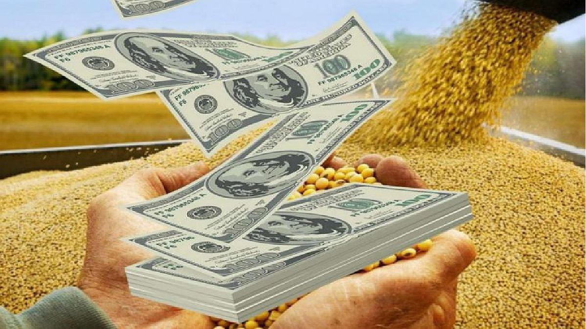 ¿mas-presion-para-el-dolar?:-caen-los-precios-internacionales-del-agro-y-la-colocacion-de-deuda-privada