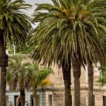 la-historia-del-hotel-que-estuvo-cerrado-por-50-anos-y-hoy-tiene-una-nueva-vida-con-un-emprendimiento-de-alojamiento-y-salon-de-te