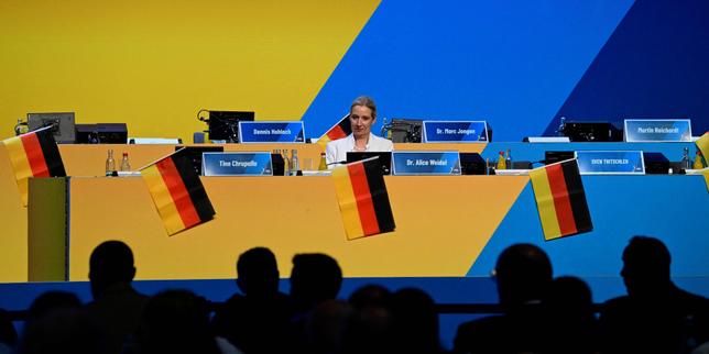 en-allemagne,-une-fuite-massive-de-documents-internes-a-l’afd-embarrasse-le-parti-d’extreme-droite