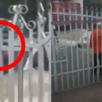 video-|-rescatan-a-conductor-en-cartagena-quien-fue-arrastrado-por-la-corriente-en-el-barrio-san-fernando-tras-fuertes-lluvias