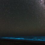 en-uruguay-se-comienza-a-debatir-sobre-“cielos-oscuros”-como-forma-de-proteger-ecosistemas-y-la-salud-humana,-una-medida-que-ya-adoptaron-otros-paises