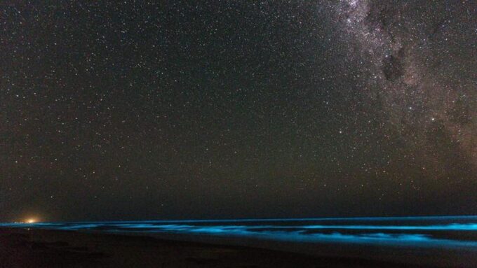 en-uruguay-se-comienza-a-debatir-sobre-“cielos-oscuros”-como-forma-de-proteger-ecosistemas-y-la-salud-humana,-una-medida-que-ya-adoptaron-otros-paises