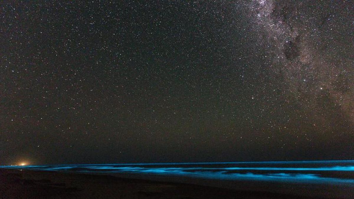 en-uruguay-se-comienza-a-debatir-sobre-“cielos-oscuros”-como-forma-de-proteger-ecosistemas-y-la-salud-humana,-una-medida-que-ya-adoptaron-otros-paises