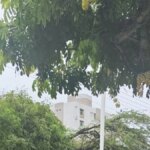 emergencias-por-lluvias-en-el-caribe:-primeros-balances-de-inundaciones-y-desbordamientos-en-varias-ciudades;-se-esperan-mas-precipitaciones