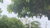 emergencias-por-lluvias-en-el-caribe:-primeros-balances-de-inundaciones-y-desbordamientos-en-varias-ciudades;-se-esperan-mas-precipitaciones