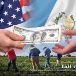 guatemala-recibe-mas-remesas,-pero-¿como-convertirlas-en-ahorro-e-inversion?