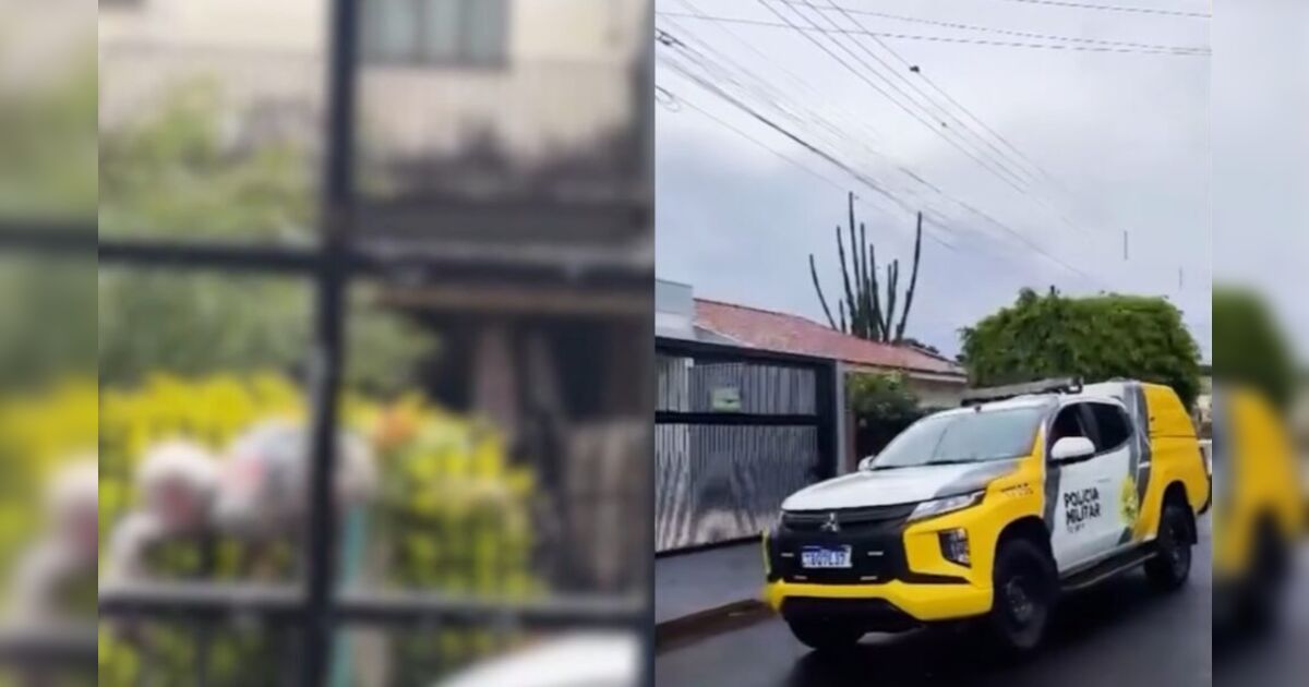 filha-e-presa-em-flagrante-apos-agredir-mae-cadeirante-com-cabo-de-vassoura-em-mandaguari