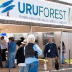 gaston-martinez,-director-forestal-del-mgap,-explico-por-que-no-es-verdad-que-el-sector-genera-poco-empleo