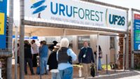 gaston-martinez,-director-forestal-del-mgap,-explico-por-que-no-es-verdad-que-el-sector-genera-poco-empleo