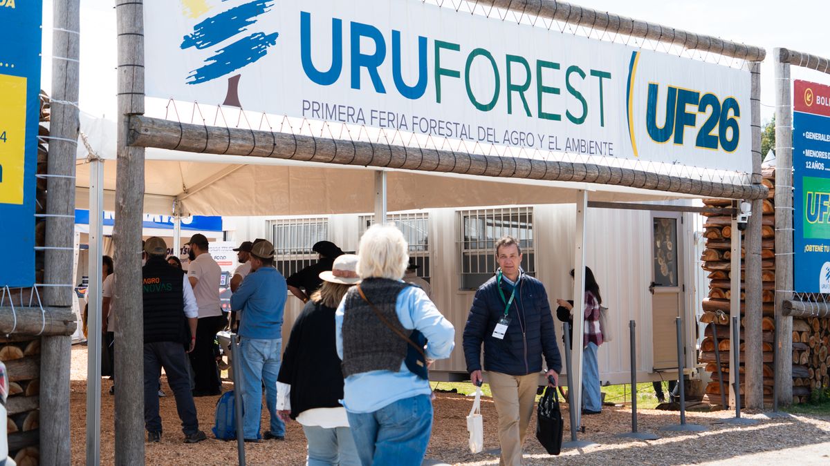 gaston-martinez,-director-forestal-del-mgap,-explico-por-que-no-es-verdad-que-el-sector-genera-poco-empleo