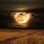 preparate-para-ver-esta-noche-la-luna-del-cazador-y-posiblemente-a-saturno-en-guatemala