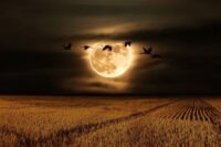 preparate-para-ver-esta-noche-la-luna-del-cazador-y-posiblemente-a-saturno-en-guatemala
