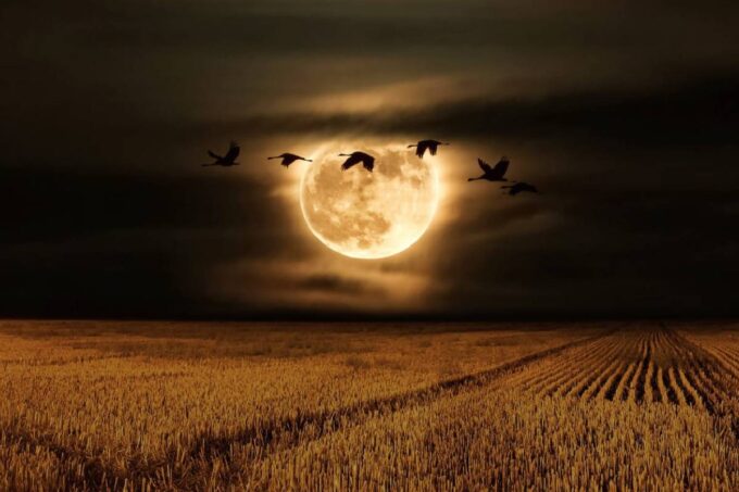 preparate-para-ver-esta-noche-la-luna-del-cazador-y-posiblemente-a-saturno-en-guatemala